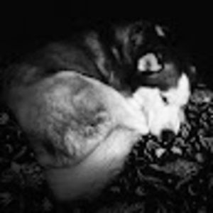 Meet your Posher, Jen